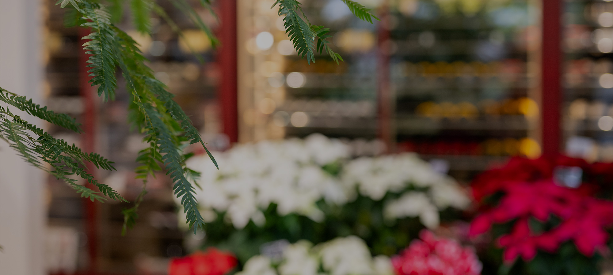 オフィシャルブログ